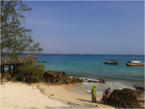 Figure 7: Beach and jetty looking towards Zanzibar town