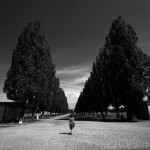 Main avenue between the barracks, Dachau memorial site (Photo by Matt Keyworth, 2013)