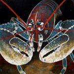 Space Telescopes and Lobsters