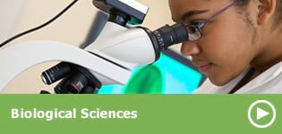 Biological Sciences